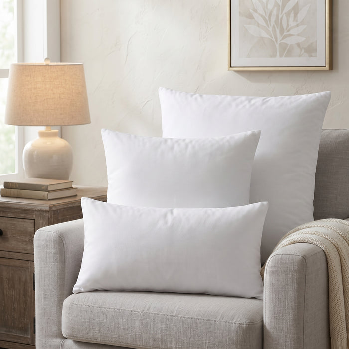 Feather Pillow Insert Case