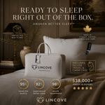 The Lincove Eiderdown Pillow