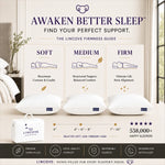 Original European Down Pillow - Set of 2