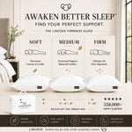 Original European Down Pillow