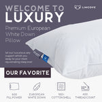 Venus European Down Pillow