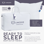 European Down Bed Pillow – Venus™ Collection