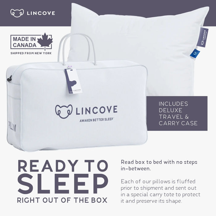 European Down Bed Pillow – Venus™ Collection