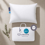 Cloud™ 100% Canadian Down Pillow
