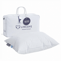 Original European Down Pillow