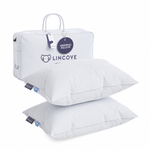 Original European Down Pillow - Set of 2
