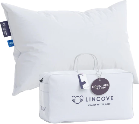 The Signature Pillow