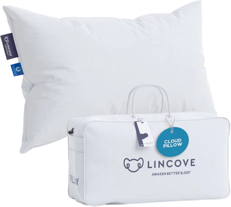 The Cloud Pillow
