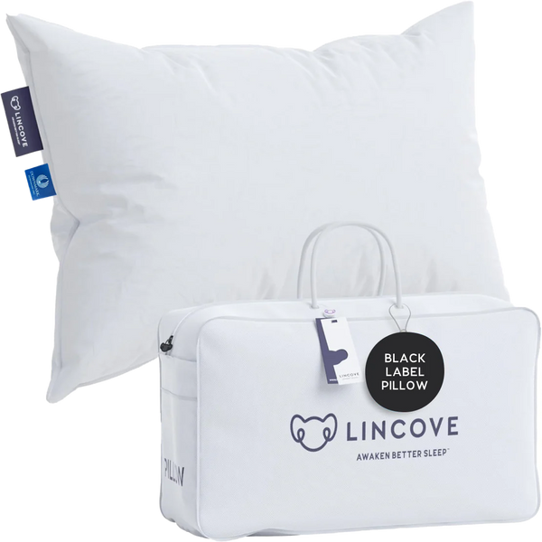 The Eiderdown Pillow
